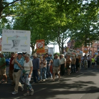Gelnhausen-20140718 (08).jpg